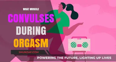 Muscle Movements During Orgasm Explained