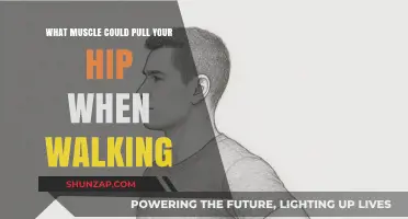 Hip Pain When Walking? Discover the Key Muscles Involved
