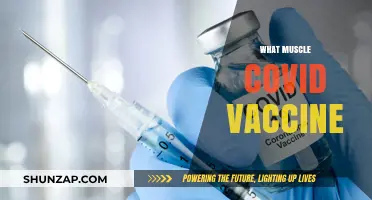Covid Vaccine and Muscle Pain: What's the Link?