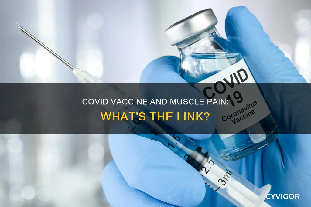 what muscle covid vaccine