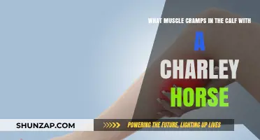 Unraveling the Mystery of Charley Horses: Causes and Cures