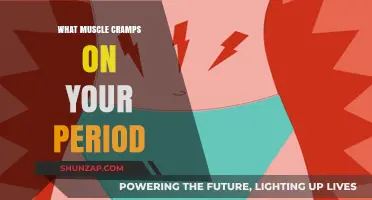 Understanding Menstrual Muscle Cramps: Causes and Relief Tips
