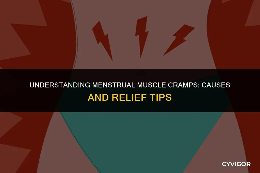 what muscle cramps on your period