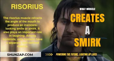 How Smirking Muscles Create an Expression