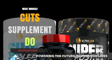 Muscle-Cutting Supplements: How They Work