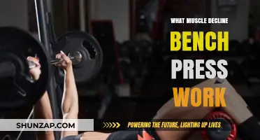 Muscle Groups Targeted by Decline Bench Press: A Comprehensive Guide