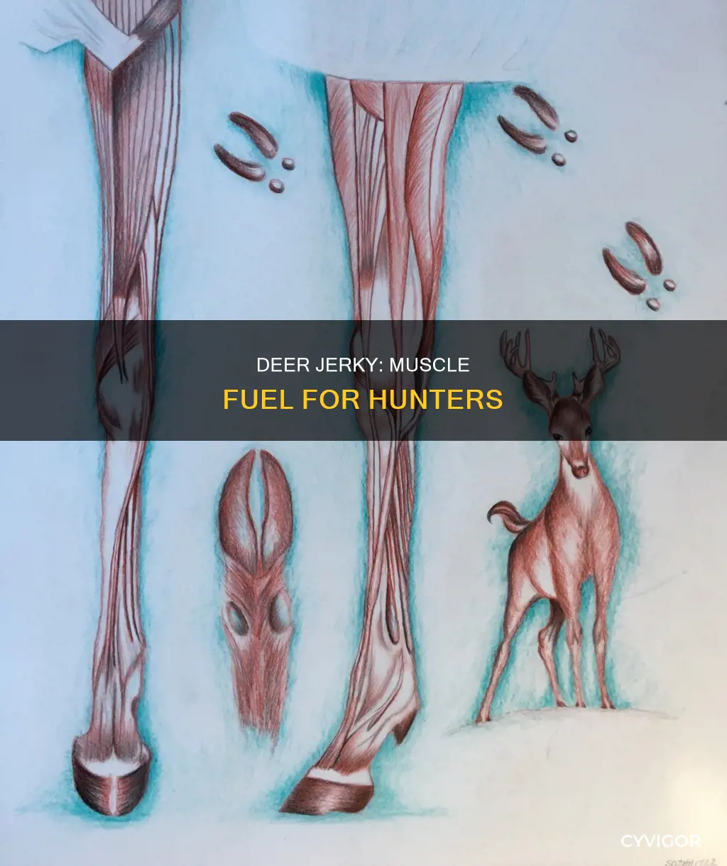 what muscle deer jerky