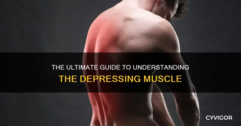 what muscle depresses t