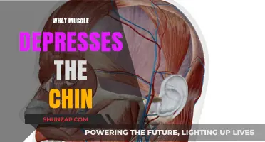 How to Depress Your Chin: Muscles Involved