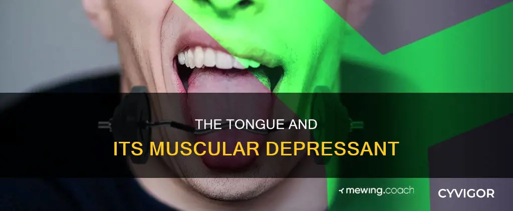 what muscle depresses the tongue