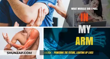 Identifying Pulled Arm Muscles: Causes, Symptoms, and Recovery Tips