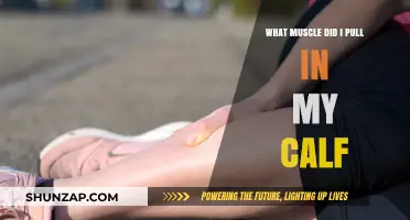 Pulled Calf Muscle: Identifying Strains, Causes, and Recovery Tips