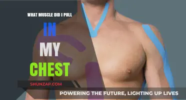 Identifying Pulled Chest Muscles: Causes, Symptoms, and Recovery Tips