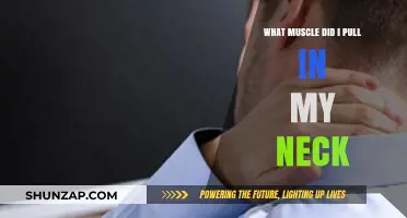Identifying Pulled Neck Muscles: Causes, Symptoms, and Quick Relief Tips