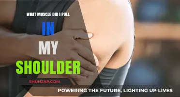 Identifying Pulled Shoulder Muscles: Causes, Symptoms, and Recovery Tips