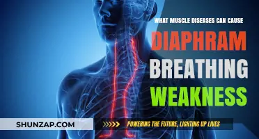 Muscle Diseases Linked to Diaphragm Weakness and Breathing Difficulties