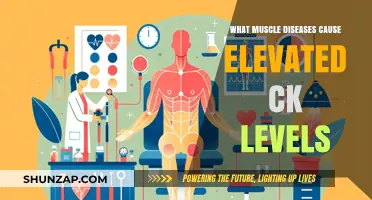 Muscle Diseases Linked to Elevated CK Levels: Causes Explained