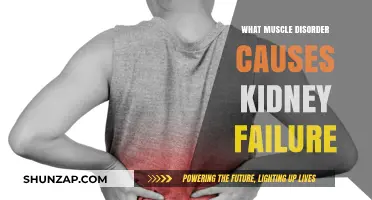 Muscle Disorder Link to Kidney Failure: Understanding the Connection
