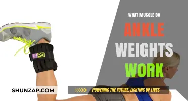 Ankle Weights: Targeted Muscles and Effective Workout Benefits Explained