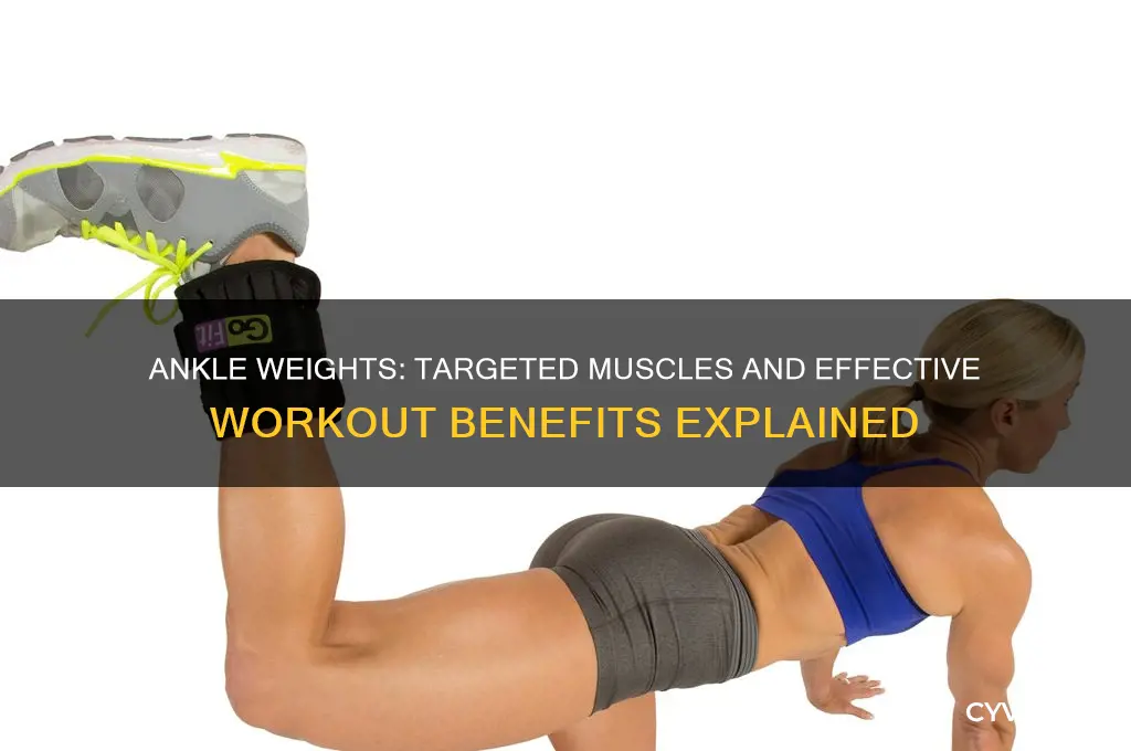 what muscle do ankle weights work