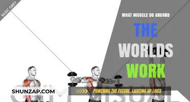 Around the Worlds: Target Muscles and Workout Benefits Explained