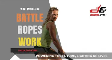 Battle Ropes Workout: Target Muscles and Full-Body Benefits Explained
