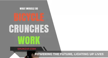 Bicycle Crunches: Targeting Core Muscles for Strength and Definition