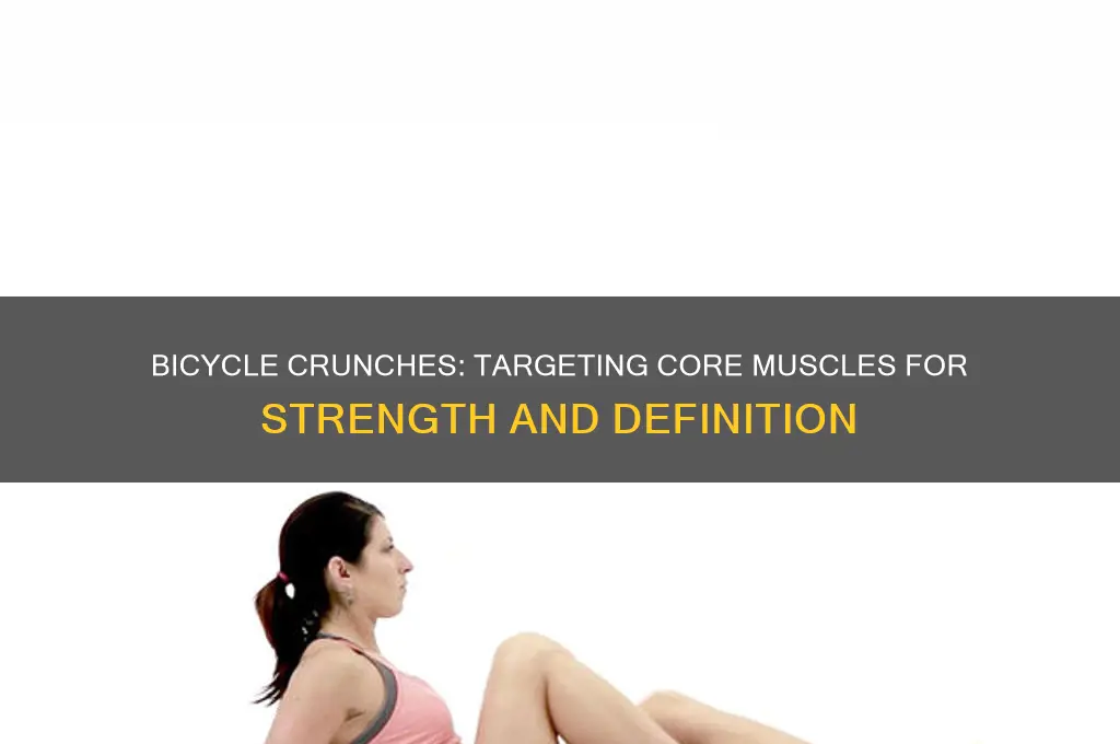 what muscle do bicycle crunches work