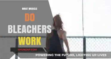Bleachers Workout: Targeting Glutes, Quads, and Calves for Stronger Legs