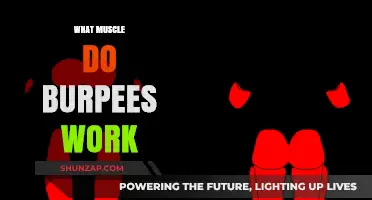 Burpees: A Full-Body Workout Targeting Multiple Muscle Groups Explained