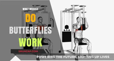 Unveiling the Surprising Muscles Activated by Butterfly Exercises