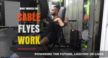 Cable Flyes: Targeting Chest Muscles for Strength and Definition