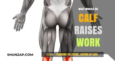 Calf Raises: Targeting Muscles for Stronger, Defined Lower Legs