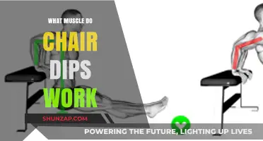 Chair Dips: Targeting Triceps, Shoulders, and Core Muscles Effectively