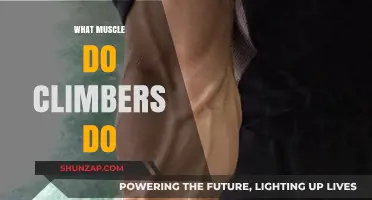Climbers' Muscles: Targeted Training for Upper Body Strength