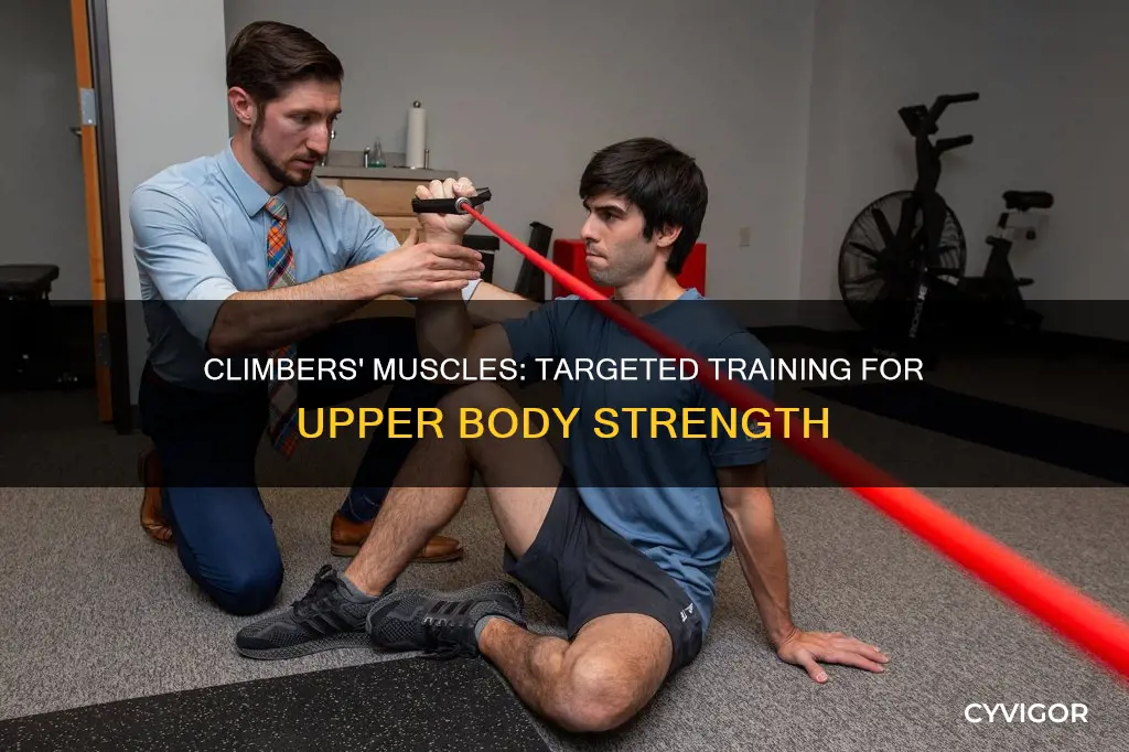 what muscle do climbers do