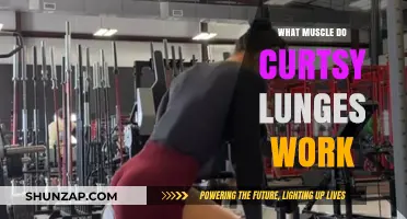 Curtsy Lunges: Targeting Glutes, Thighs, and Core Muscles Effectively