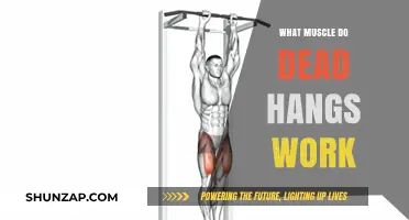 Dead Hangs: Targeting Forearms, Grip Strength, and Upper Body Muscles