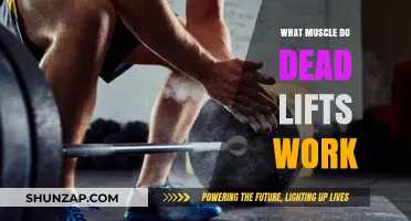 Deadlifts: Unlocking Full-Body Strength and Targeted Muscle Engagement