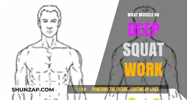 Deep Squats: Target Muscles and Benefits for Strength Training