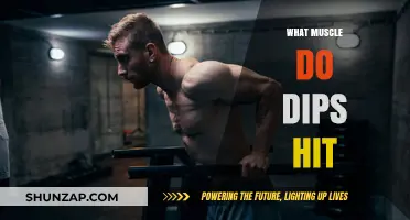 Dips Workout: Which Muscles Are Targeted?