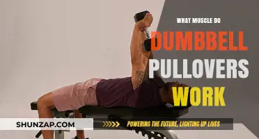 Dumbbell Pullovers: Target Muscles and Benefits Explained