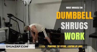 Dumbbell Shrugs: Targeting Traps and Upper Back Muscles Effectively