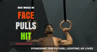 Face Pulls Target: Muscles Worked and Benefits Explained