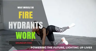 Fire Hydrant Exercise: Targeting Glutes, Hips, and Core Muscles