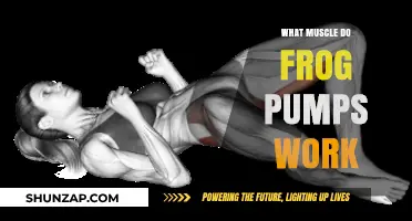 Frog Pumps: Targeting Glutes, Hamstrings, and Core Muscles Effectively