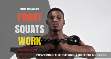 Front Squats: Target Muscles and Benefits for Strength Training