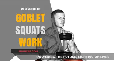 Goblet Squats: Target Muscles and Benefits for Lower Body Strength