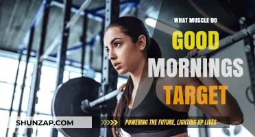 Unlocking the Power of Good Mornings: Targeted Muscle Guide