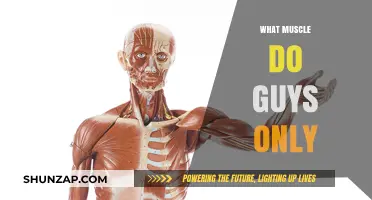 How to Get a Muscular Body Like Guys